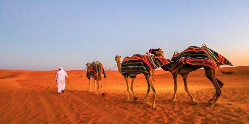 Travel To Dubai Turzilla